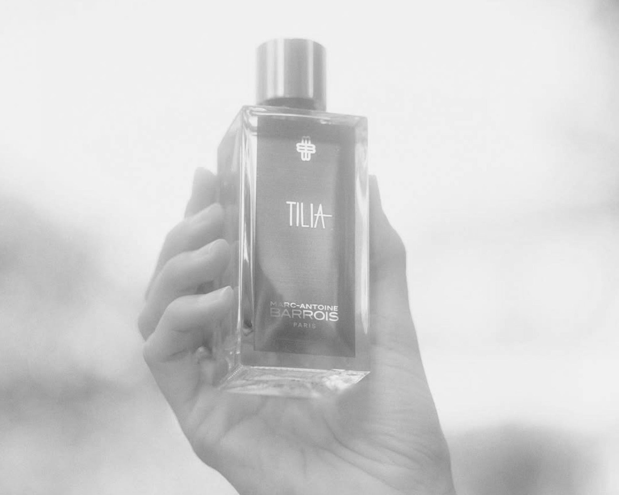TILIA Celebrates Its First Anniversary